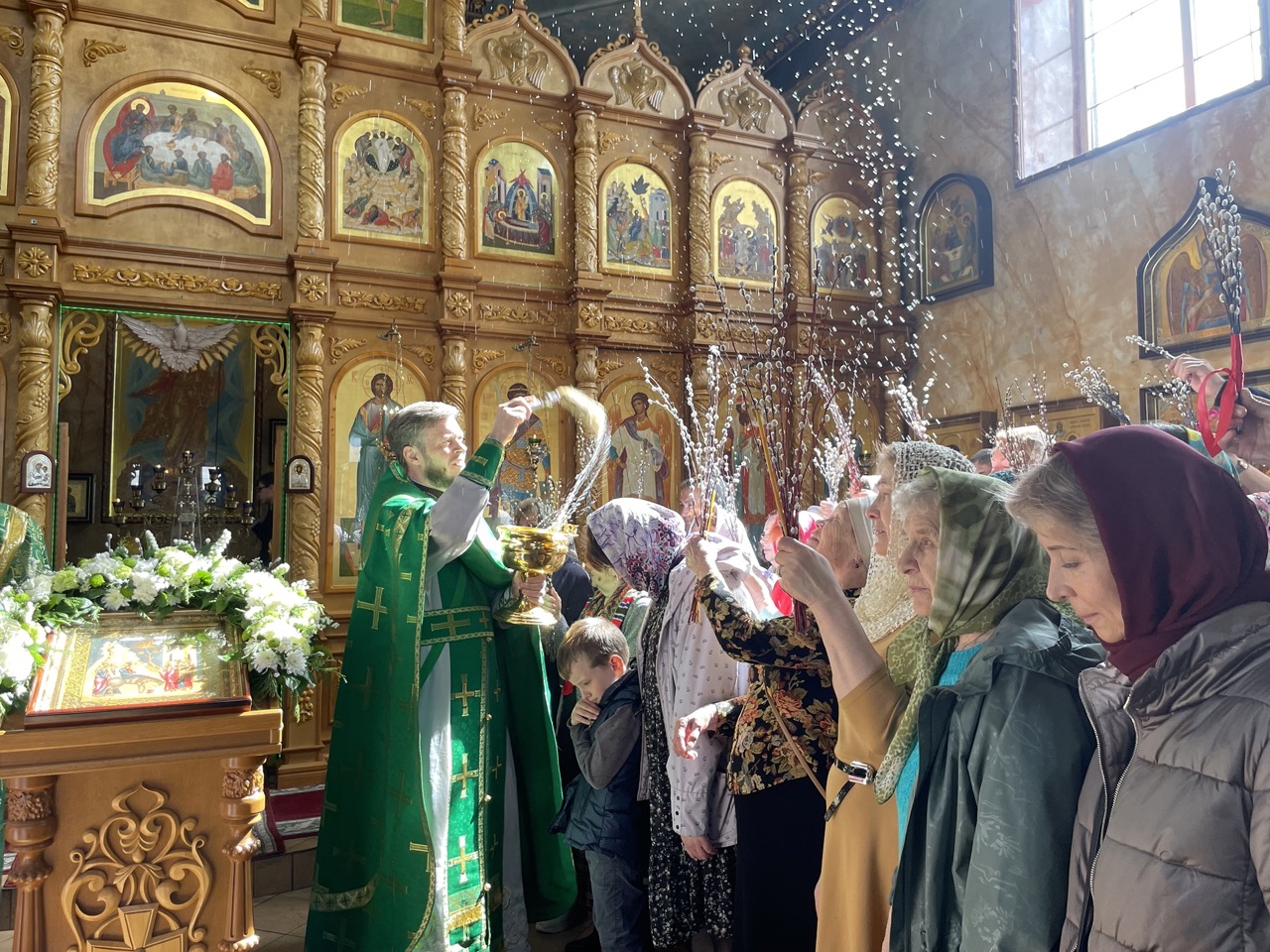 image-29-04-24-07-59-2 — крупный размер