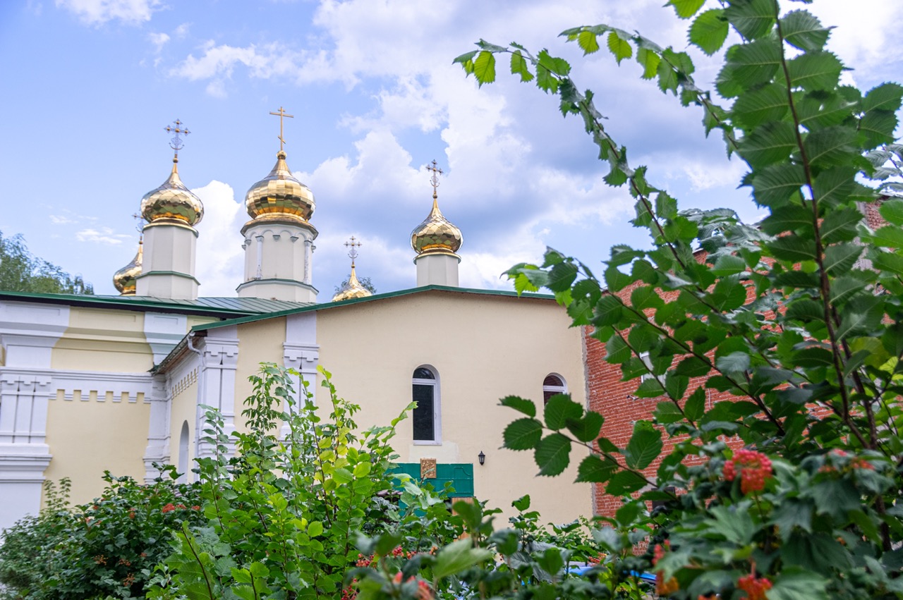 IMGP0772 — крупный размер