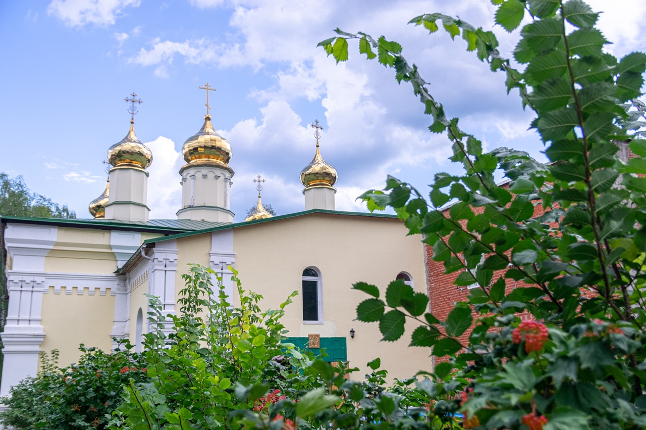 IMGP0773 — крупный размер